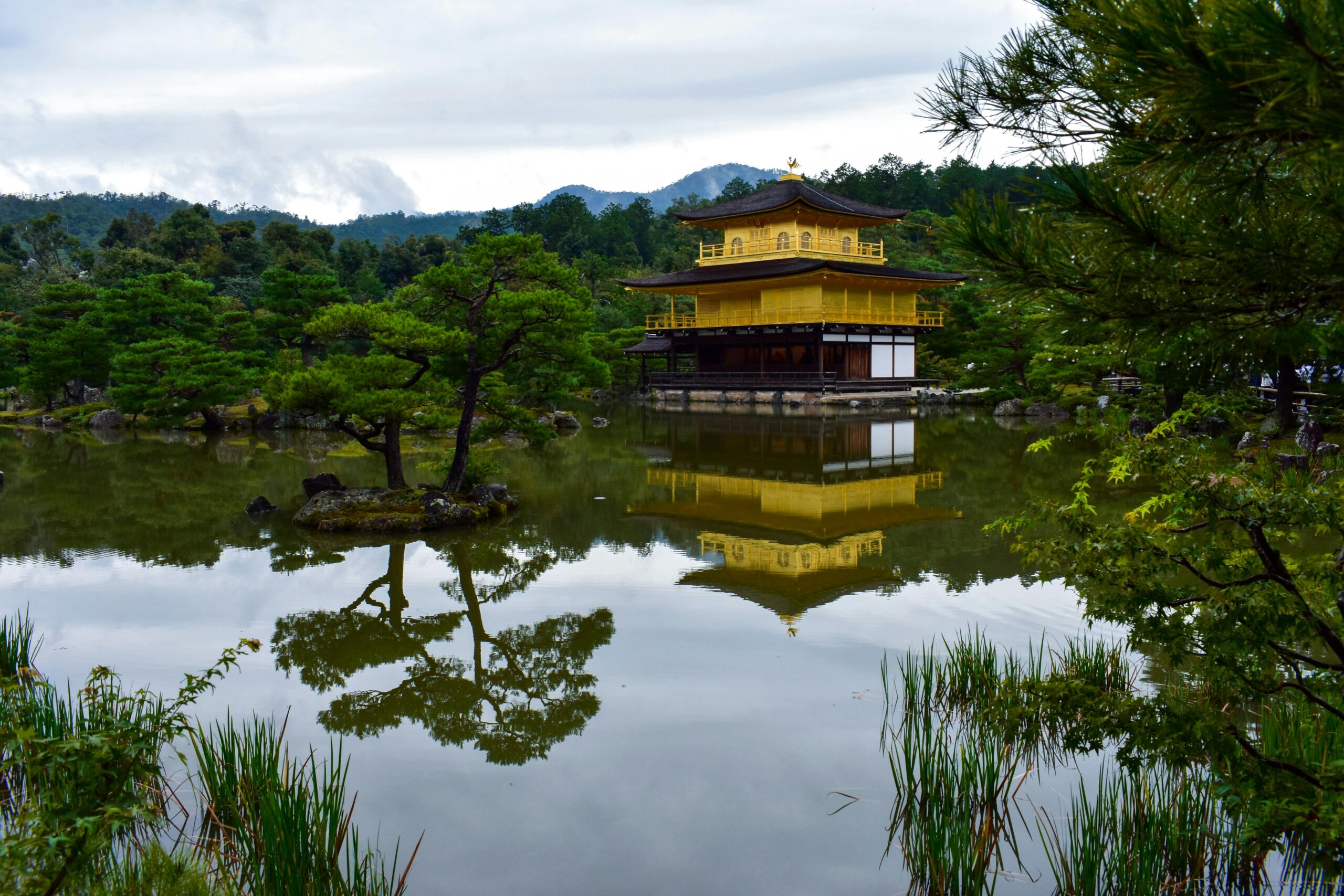 Stunning view of Kinkaku-ji Temple reflecting in a tranquil pond amidst lush greenery in Kyoto, Japan.
