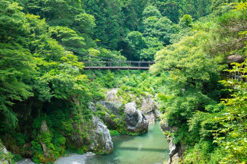 Wąwóz Hatonosu w Okutama, Dolina Tamy